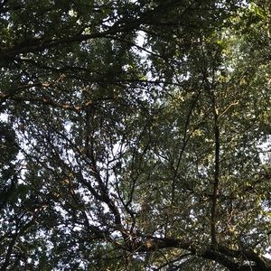 Meet your Posher, Xavier